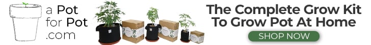 Link to A Pot For Pot Grow Kit, Easy DIY home grow kit, grow kits, seeds, cannabis seeds, medical marijuana, marijuana seeds, medical marijuana card