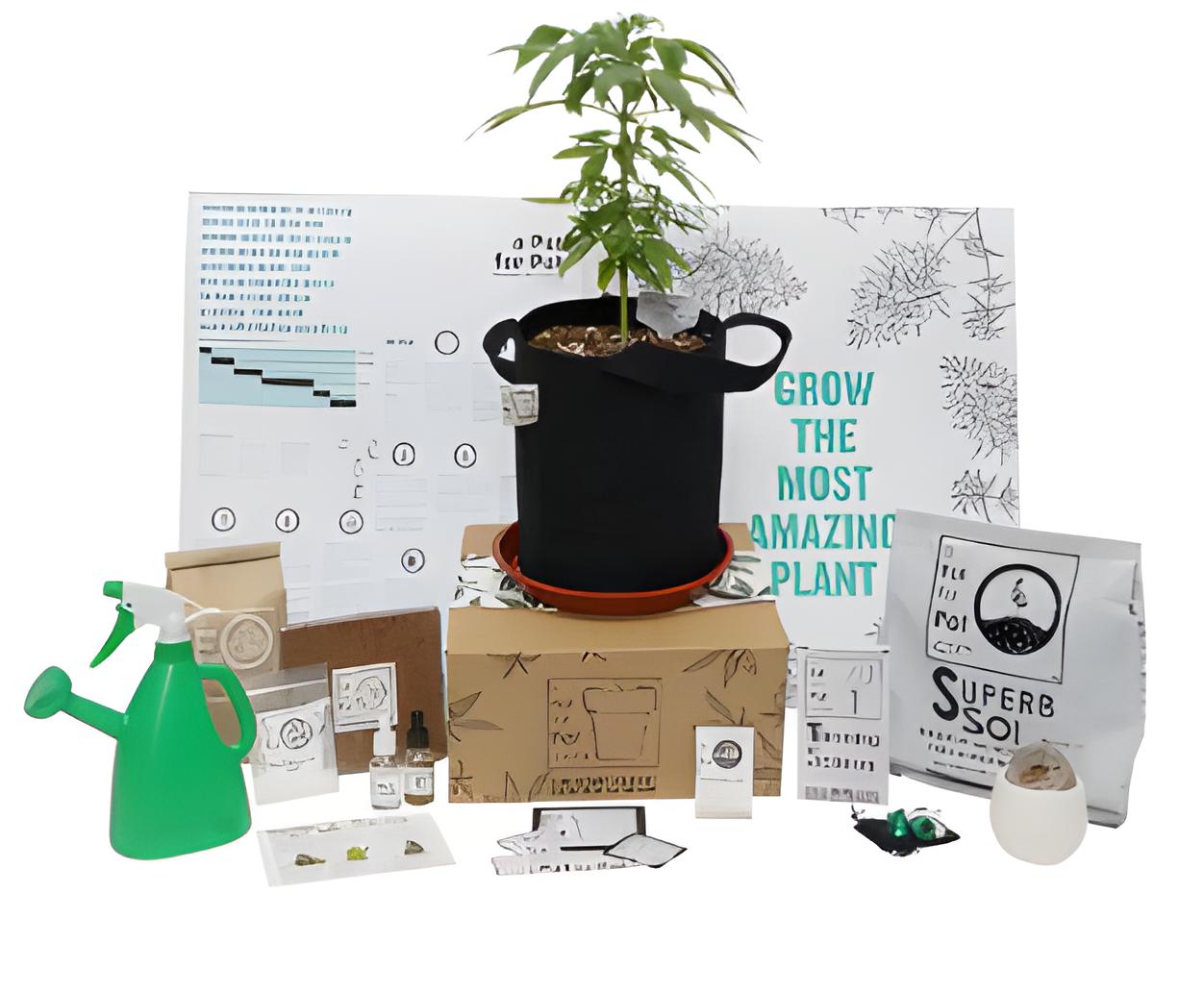 ‘A Pot for Pot’ Review: Simple, DIY Home Cannabis Cultivation Kits